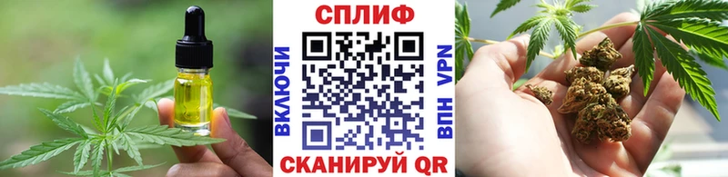 Canna-Cookies марихуана  где продают   Шилка 