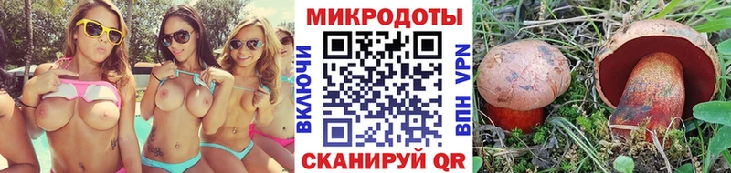 как найти закладки  Шилка  OMG ссылка  Галлюциногенные грибы Cubensis 