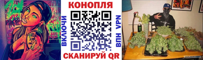 цена   Шилка  blacksprut зеркало  Бошки марихуана White Widow 